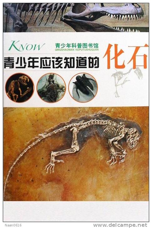 [Y59-060  ]  Dinosaur   Fossil   , Postal Stationery -- Articles Postaux -- Postsache F - Fossielen