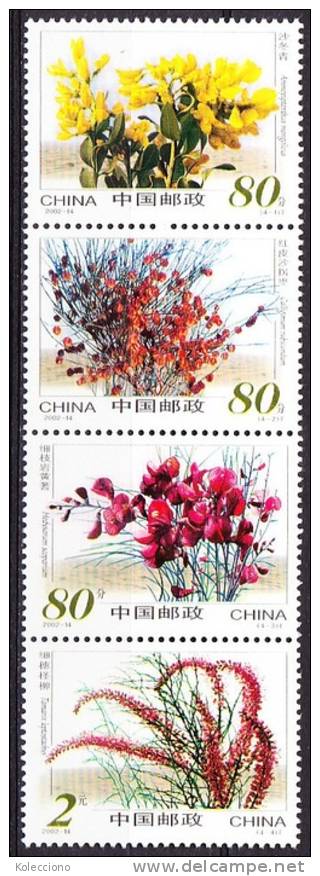 China 2002 Yvert 4015 / 18, Desert Flowers, MNH - Ongebruikt