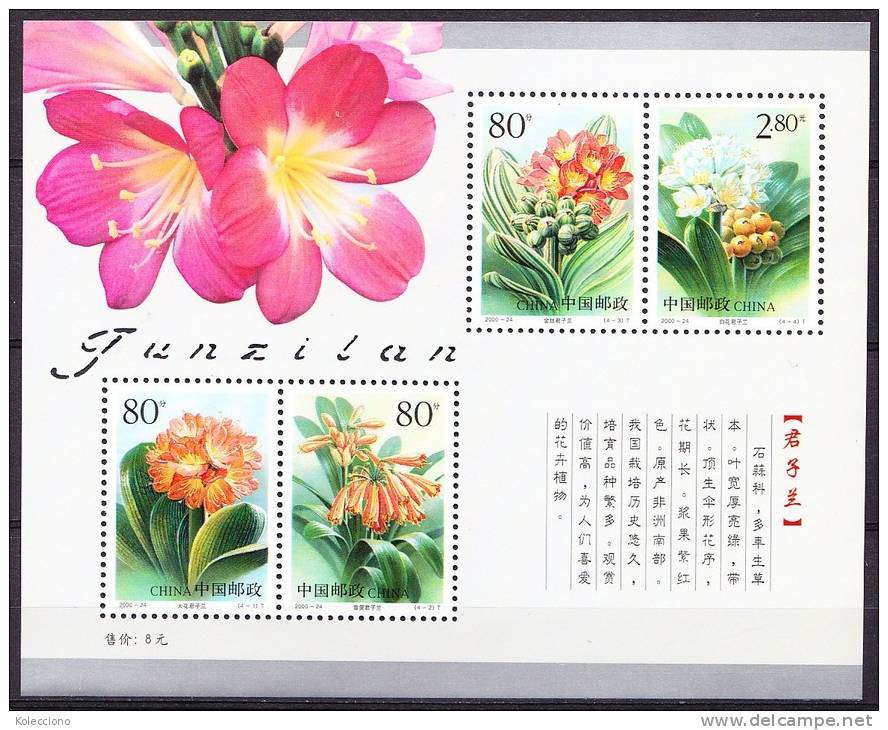 China 2000 Yvert BF 109, Flora, Clivia Flowers, Miniature Sheet MNH - Ongebruikt