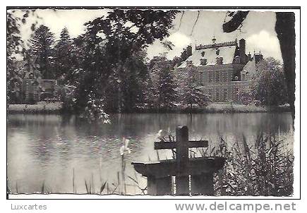 NEUNG SUR BEUVRON. LE CHATEAU ET L' ETANG DE VILLEBOURGEON. - Neung Sur Beuvron