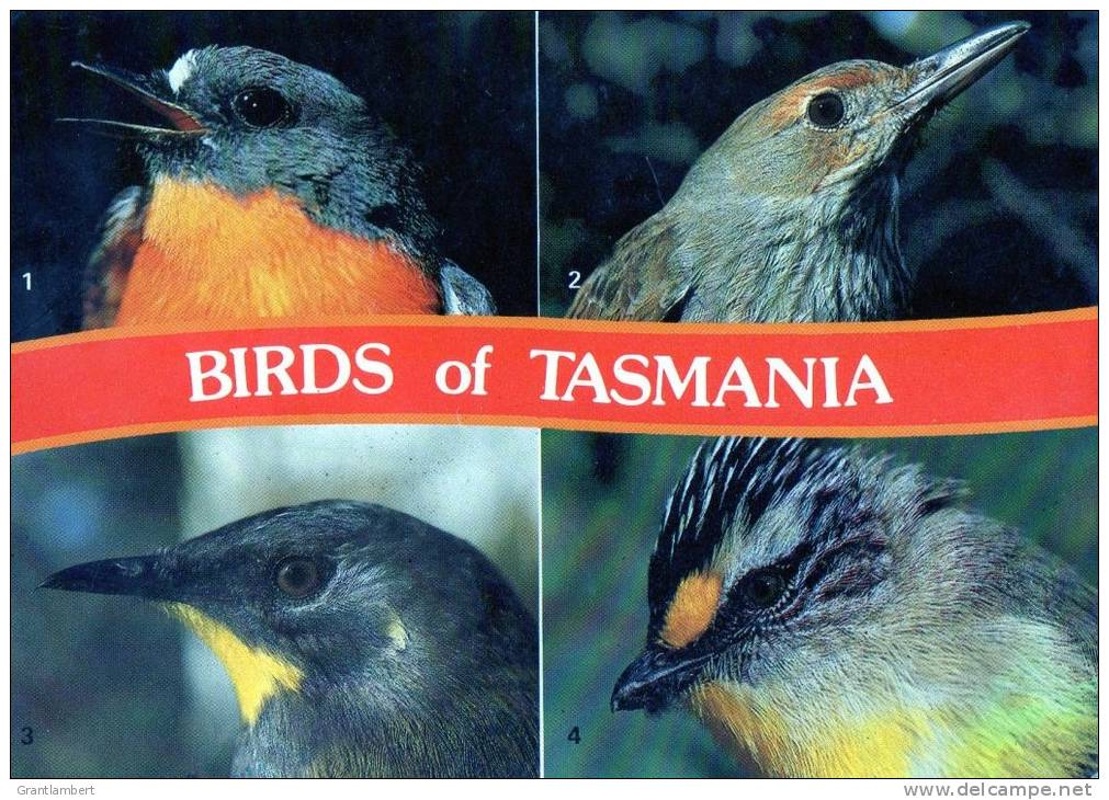 Birds Of Tasmania Used 1986 - Altri & Non Classificati