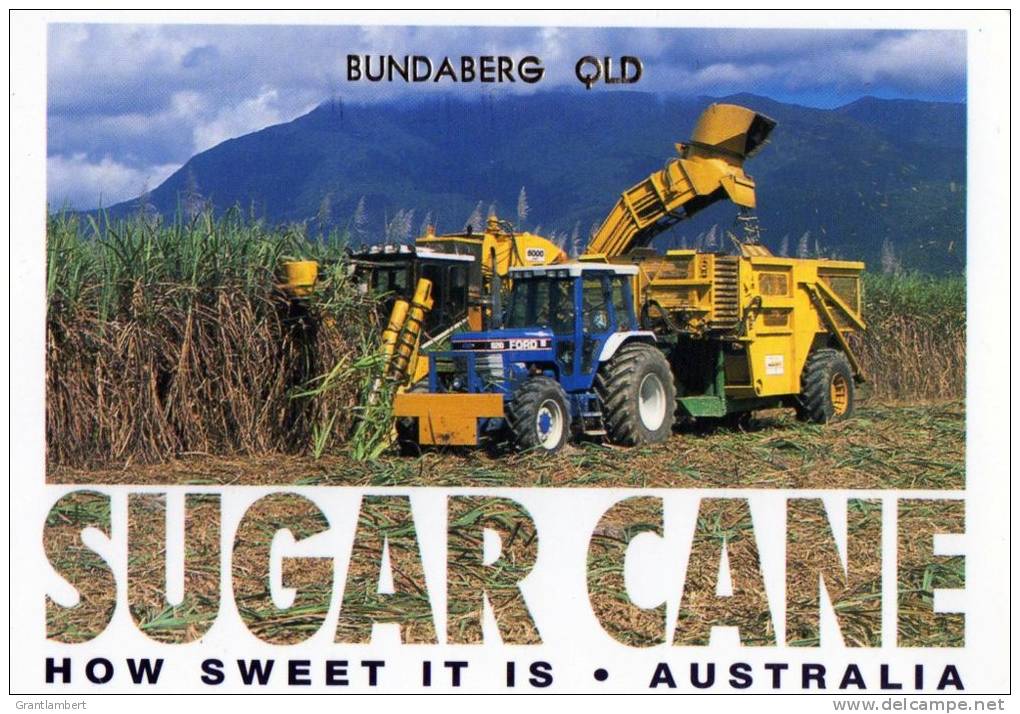Bundaberg, Queensland - Sugar Cane Harvesting Used - Collector's Choice - Autres & Non Classés