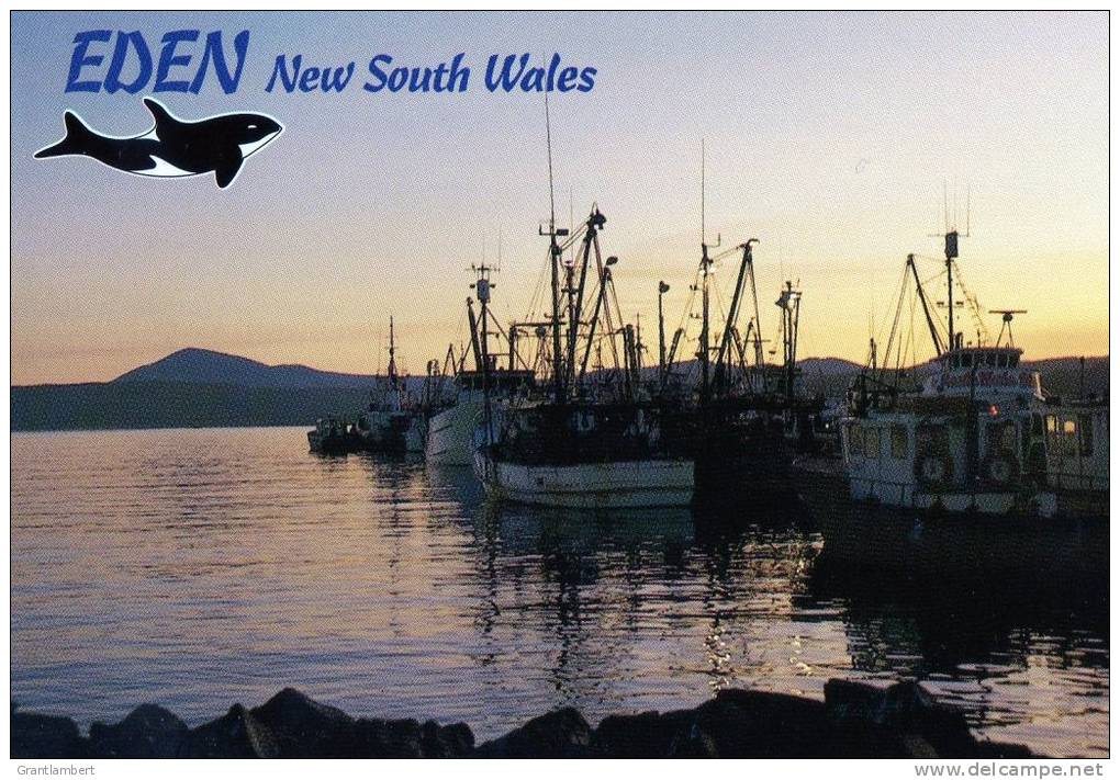 Eden, NSW - The Whale Town, Sunset At The Wharves, Looking To Mt Imlay, Unused, Rose Series - Other & Unclassified