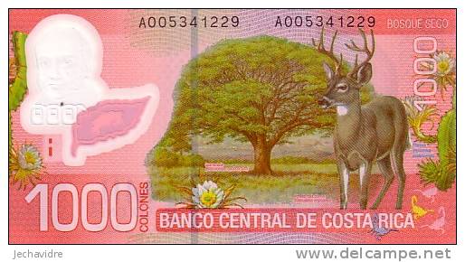 COSTA RICA  1 000 Colones  Daté Du 02-09-2009     POLYMER   ***** BILLET  NEUF ***** - Costa Rica