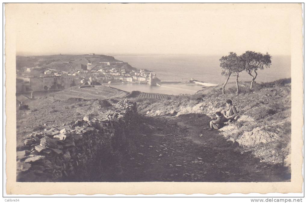 66 COLLIOURE (Vue Générale Cliché Glaser Photographe à Perpignan) - Collioure