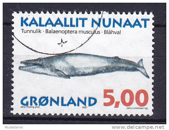 Greenland 1997 Mi. 305 Y, 5.00 Kr Grönländische Wale Blauwal Blue Whale ERROR Variety Double Printing Text (3 Scans) - Gebraucht