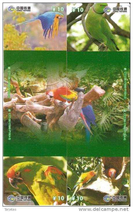 PUZZLE DE 4 TARJETAS DE CHINA DE LOROS (PARROT-GUACAMAYO) - Loros