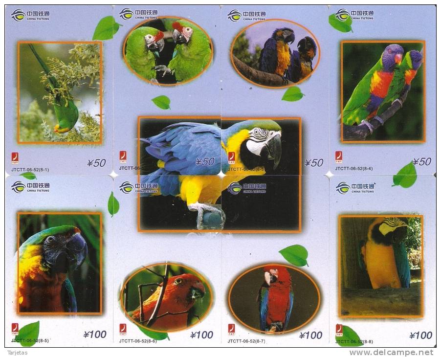 PUZZLE DE 8 TARJETAS DE CHINA DE LOROS (PARROT-GUACAMAYO) - Loros