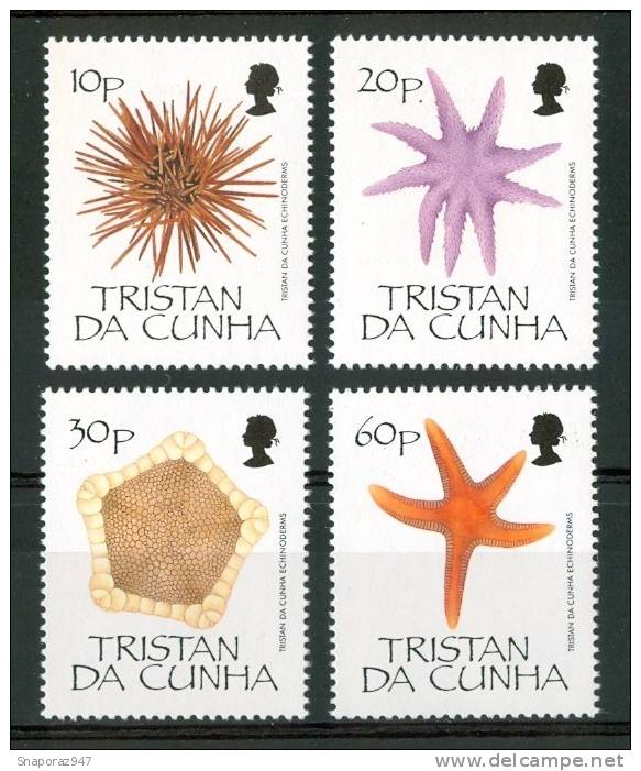 1990 Tristan Da Cunha Vita Marina Marine Life Set MNH** B11 - Tristan Da Cunha