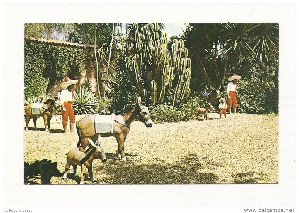 Cp, Mexique, Mexico Scene, A Touch Of Old Meico In Beautiful Cypress Gardens - Mexico