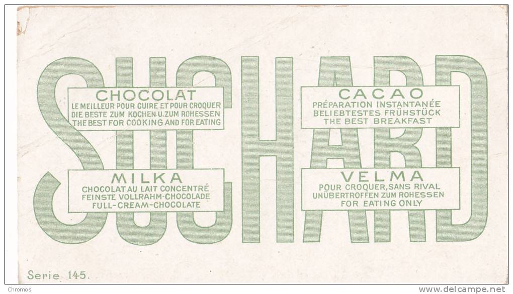 Chromo SUCHARD, N° 145 / 10, Thèmes: Hiver, Ours - Suchard