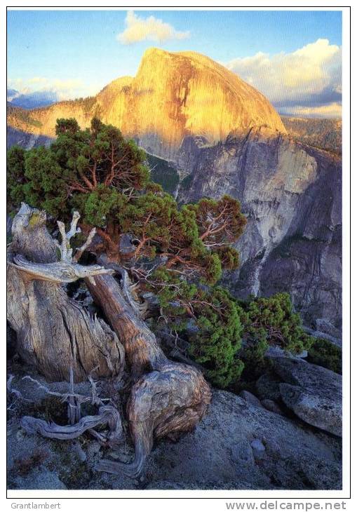 Half Dome At Sunset, Viewed From North Dome Across Canyon, Yosemite National Park Unused - Yosemite