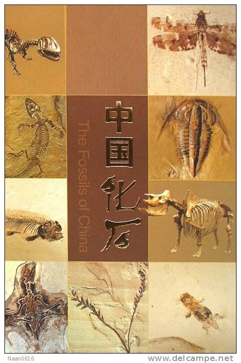 [Y59-063  ]    Dinosaur  Insect  Fossil   , Postal Stationery -- Articles Postaux -- Postsache F - Fossielen