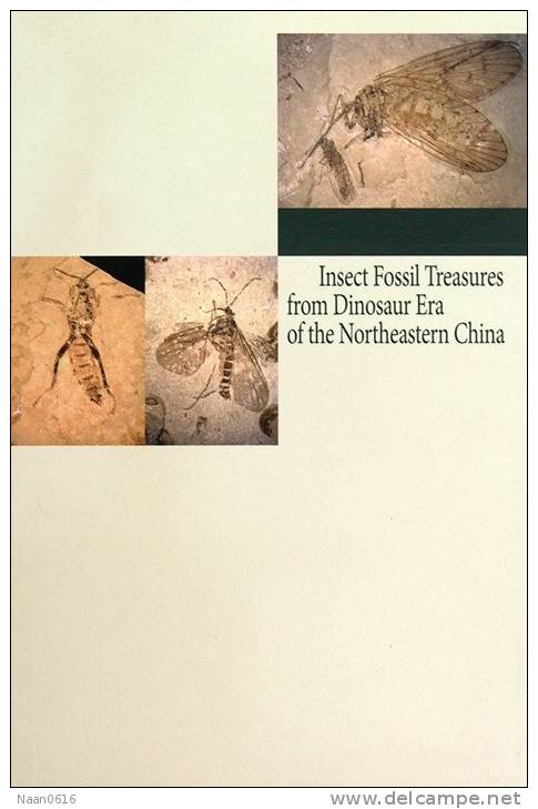 [Y59-059  ]  Insect    Fossil   , Postal Stationery -- Articles Postaux -- Postsache F - Fossielen