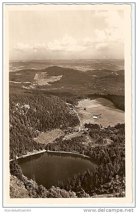 AK Blick Von Seebuck Auf Feldsee, Schwarzwald, 1495 M ü. M. Mit Werbestempel FELDBERG Im Schw. ALB. SCHUBNELL TURMWART - Feldberg