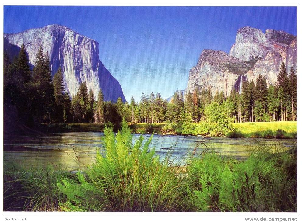 El Capitan, Left, Bridalveil Fall To RIght, Merced River, Yosemite National Park Unused - Yosemite