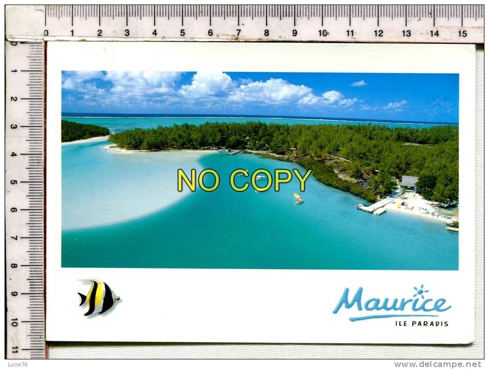 MAURICE  -   MAURITUS   - Ile De PARADIS -  ILE Aux CERFS - Mauritius