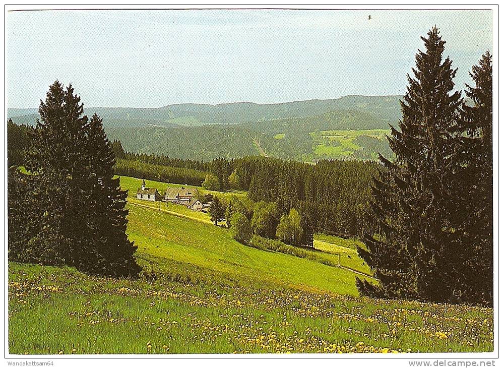 AK Heiligenbrunnen Im Hochschwarzwald 16.7.88 Kartenschreibdatum - Hinterzarten