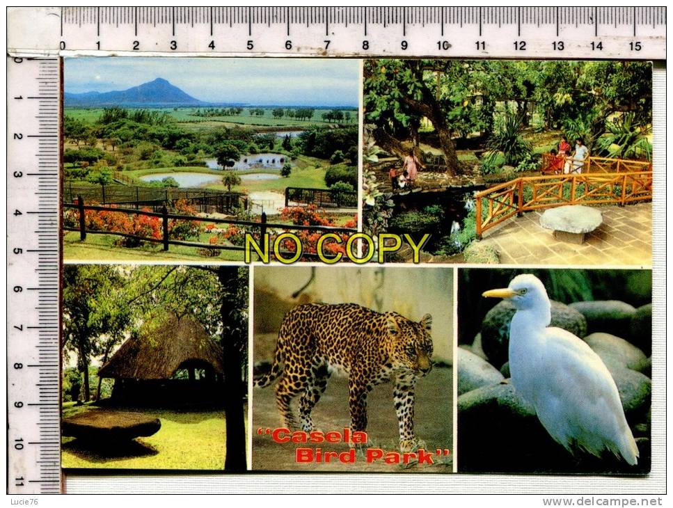 MAURITUS -  ILE MAURICE  -  CASELA BIRD PARK -  CASELA  Jardin D' Oiseaux  -  5 Vues - Maurice