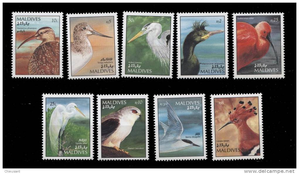 Maldives **  - N° 1416 à 1424 - Oiseaux - - Maldives (1965-...)