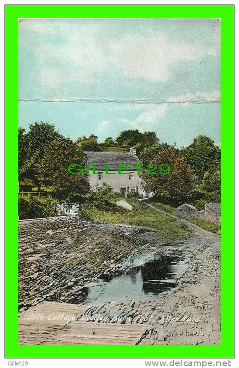 ALLENDALE, UK - WHITE COTTAGE WOOLLEY BURN FOOT - TRAVEL - FAIRLAMB 'S SERIES - T. H. D. - - Other & Unclassified