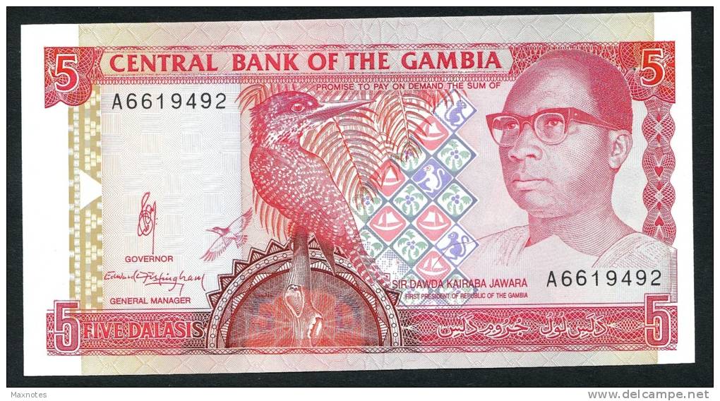 GAMBIA :  5 Delasis  - P12 - AUNC - Gambie