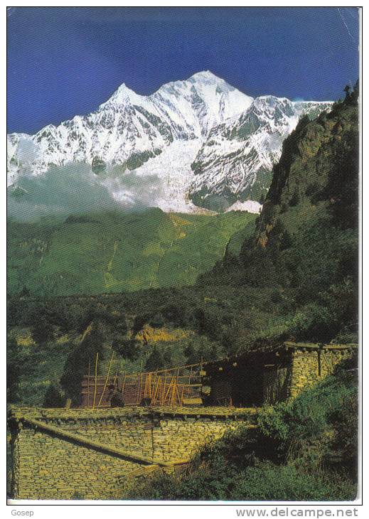 Nepal-bhim Ratna Harsha Ratna (dhawalagiri1(8137m) From   Tukuche-used Post Card+1 Stamps - Nepal