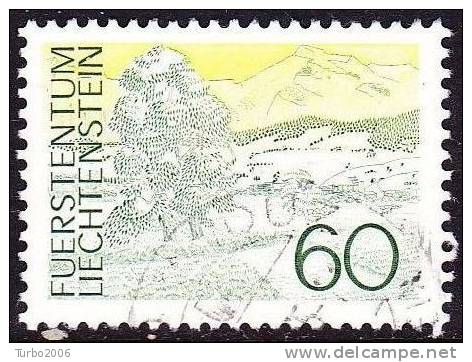 Liechtenstein 1973 Landschaften Eschner Ried 60 Rp Mi 585 - Oblitérés