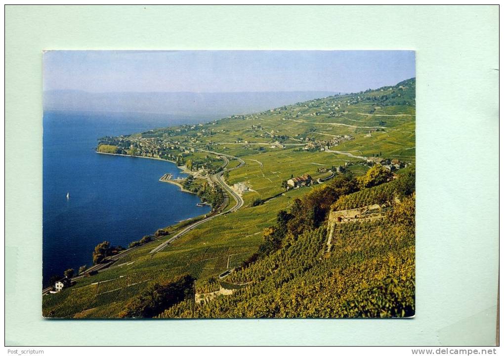 Suisse - Vignobles De Lavaux - Cully, Grandvaux, Epesses, Riex - Cully