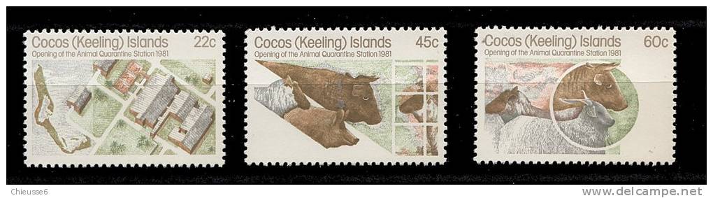Cocos ** -  N° 65 à 67 - Ouverture D' Un Batiment De Quarantaine - Kokosinseln (Keeling Islands)