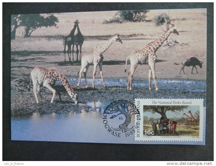 Girafe Giraffe Carte Maximum Card Bophuthatswana 61 - Giraffen