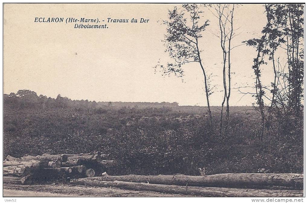 CPA Eclaron - Travaux Du Der Déboisement - Eclaron Braucourt Sainte Liviere