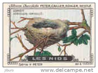 Image / Les Nids / Loriot - Oriolus-oriolus / Oiseau Bird Nid Oeuf  // IM K-26/13 - Nestlé