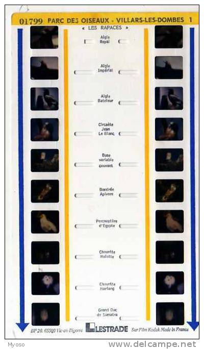 Vues Stereoscopiques Lestrade Parc Des Oiseaux Villars Les Dombes 01799 - Stereoskope - Stereobetrachter