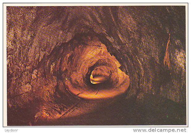 Thurston Lava Tube - Hawaii - Otros & Sin Clasificación