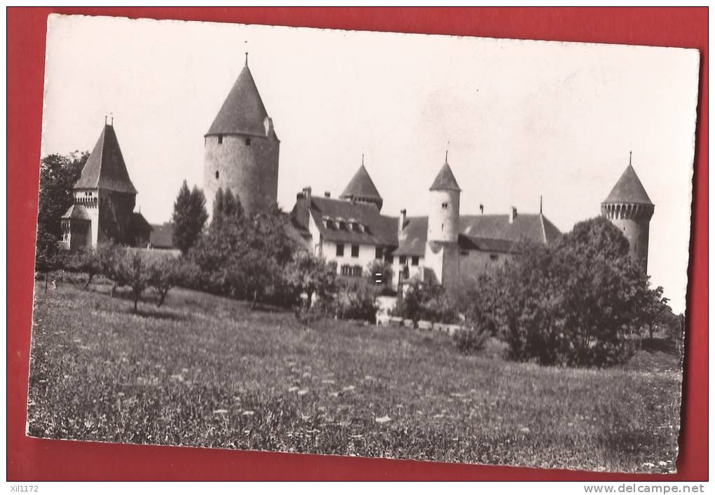 B1010 EStavayer-le-lac Le Château Circulé,date Illisible.Deriaz 9079 - Estavayer