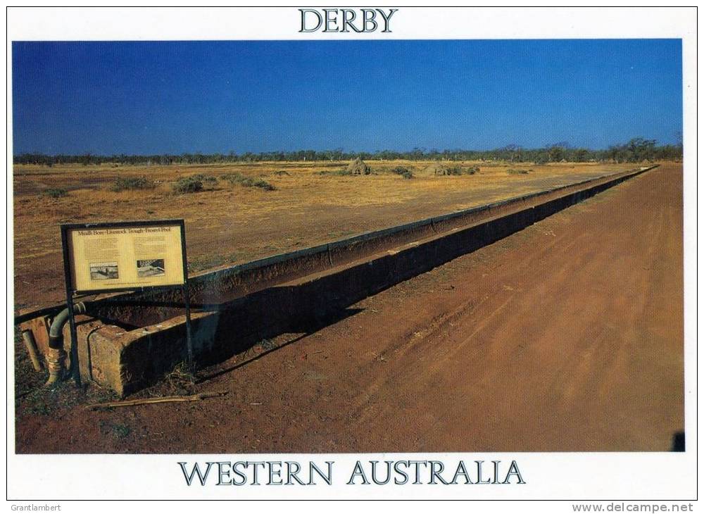 Derby, WA -  The Trough At Myrall's Artesian Bore, Used To Water Cattle Unused, Nucolorvue - Altri & Non Classificati