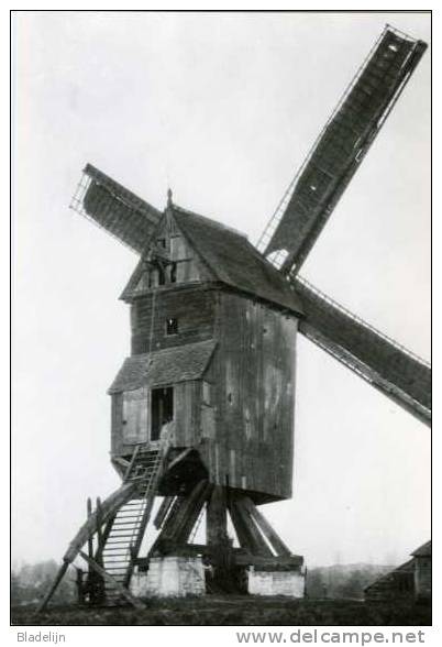 BAZEL Bij Kruibeke (O.Vl.) - Molen/moulin - De Verdwenen Hanewijkmolen Opgezeild En In Werking (gesloopt In 1929). TOP! - Kruibeke