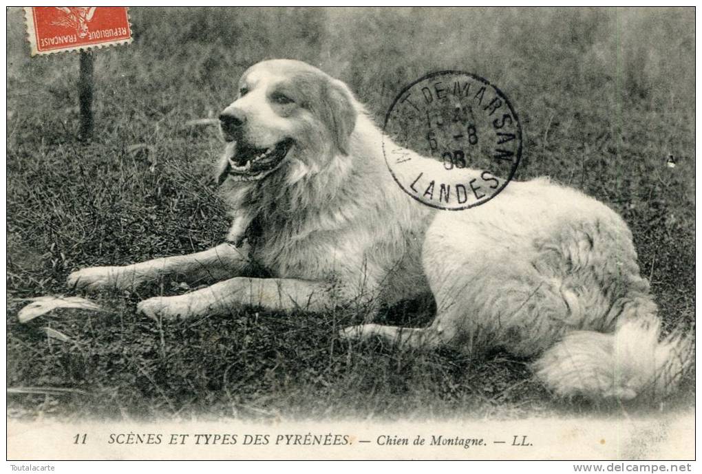 CPA SCENES ET TYPES DES PYRENEES CHINE DE MONTAGNE 1908 - Midi-Pyrénées