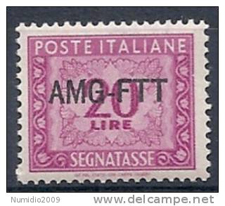 1949-54 TRIESTE A SEGNATASSE 20 LIRE 1 RIGA MNH ** - RR9240-2 - Strafport