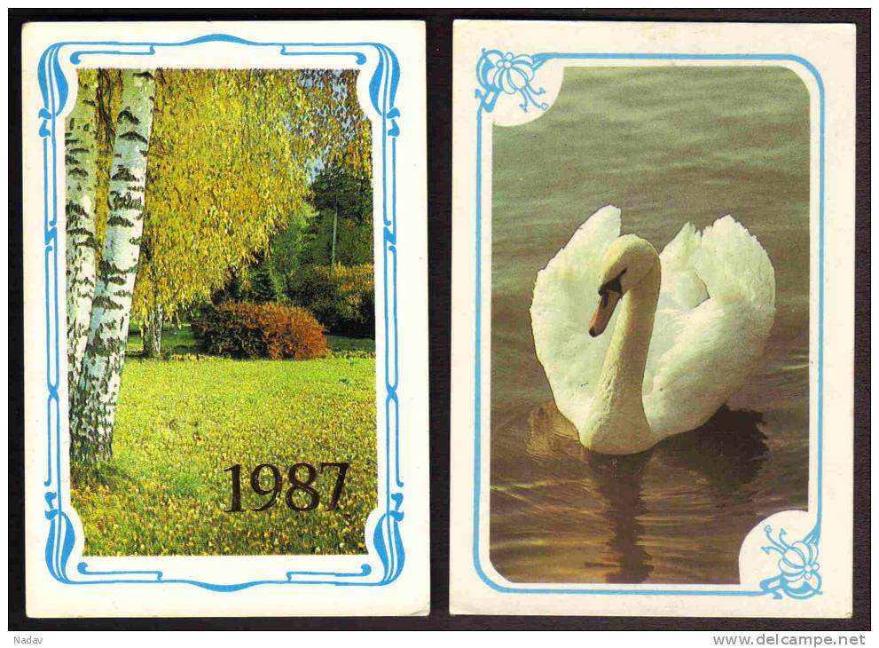 1987,  Calendars  Of USSR- 0119 - Small : 1981-90