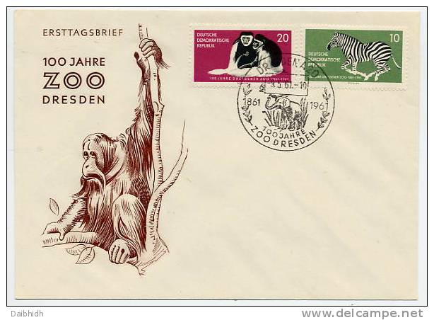 DDR 1961 Dresden Zoo Centenary On  Blank FDC.  Michel 825-26 - Sonstige & Ohne Zuordnung