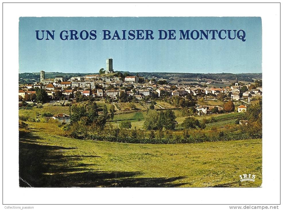 Cp, 46, Montcuq, Vue Générale - Montcuq