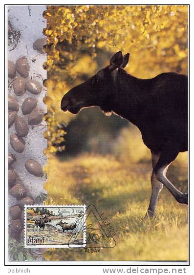 ALAND ISLANDS 2000 Elk Maximum Card.  Michel 173 - Ålandinseln