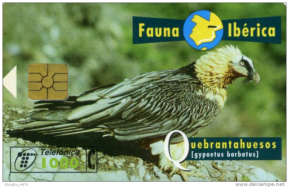 TELECARTE UTILISEE ....FAUNE IBERIQUE.....QUEBRANTAHUESOS...VOIR PHOTO SCANNEE - Sammlungen