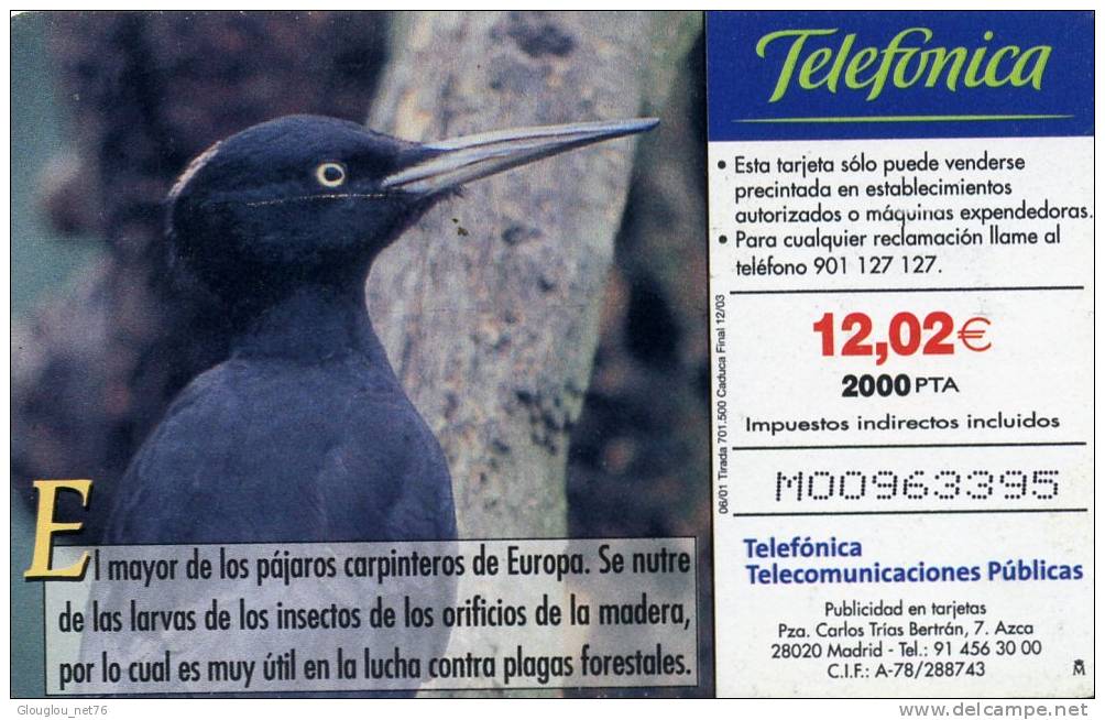 TELECARTE UTILISEE ....FAUNE IBERIQUE.....PITO NEGRO...VOIR PHOTO SCANNEE - Collections