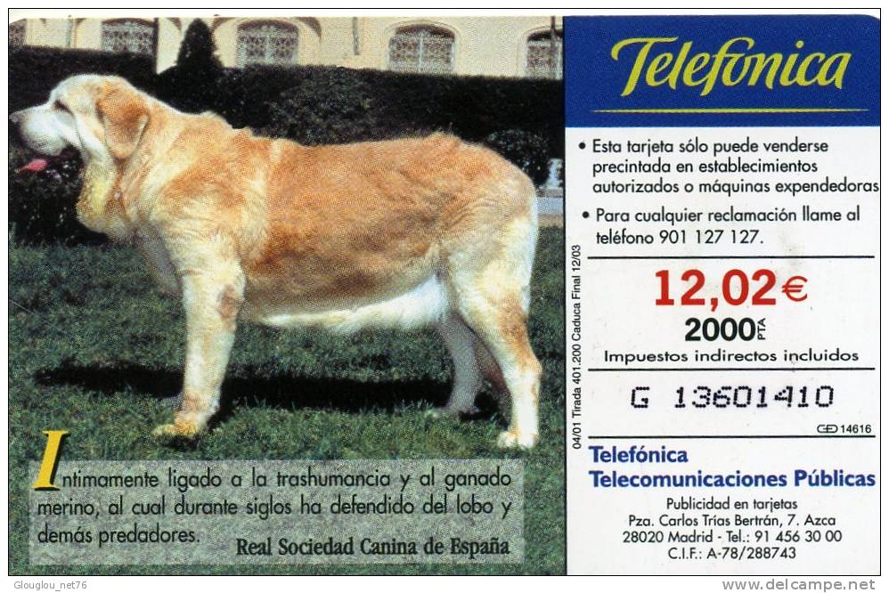 TELECARTE UTILISEE ....FAUNE IBERIQUE.....MASTIN ESPAGNOL.....VOIR PHOTO SCANNEE - Colecciones