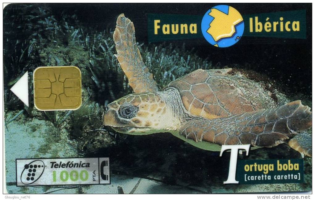 TELECARTE UTILISEE ....FAUNE IBERIQUE.....TORTUGA BOBA.....VOIR PHOTO SCANNEE - Collezioni