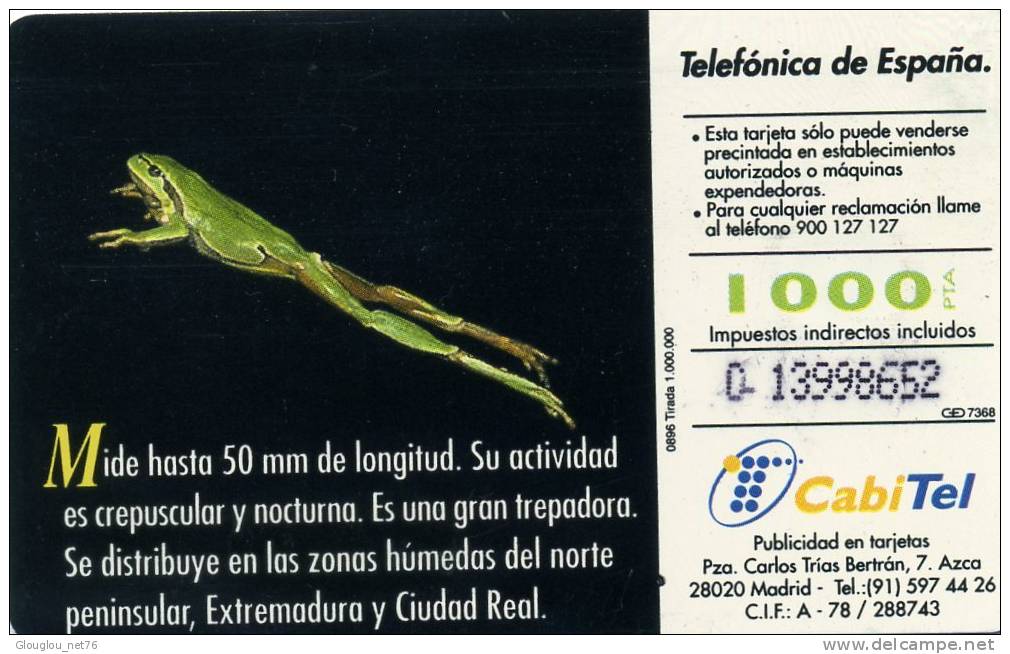 TELECARTE UTILISEE ....FAUNE IBERIQUE.....RANITA DE SAN ANTONIO.....VOIR PHOTO SCANNEE - Collections