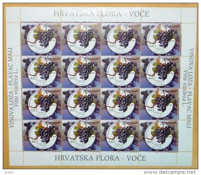 WINE & GRAPEVINE - Croatian Flora Fruits Vigne ( Croatia Sheet MNH** ) Vin Vino Wein Vinho Wijn Grape Raisin Grapes Uva - Vinos Y Alcoholes